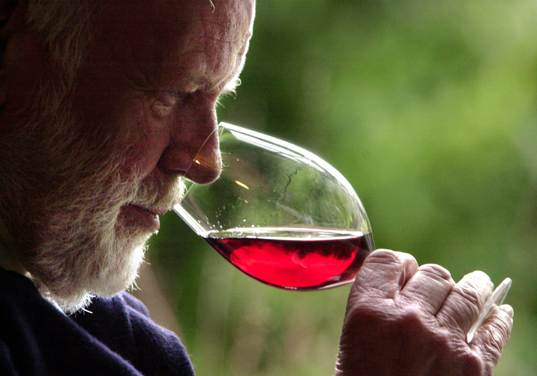 Pinot noir